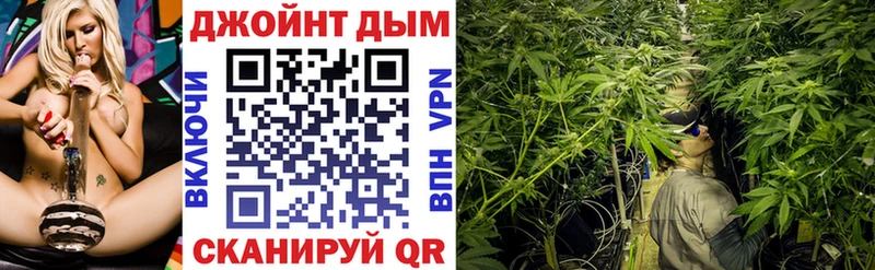 Купить закладки  Злынка  Бошки марихуана марихуана 